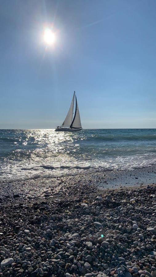 Apartman Ana Zeleni Pojas Bar Dış mekan fotoğraf