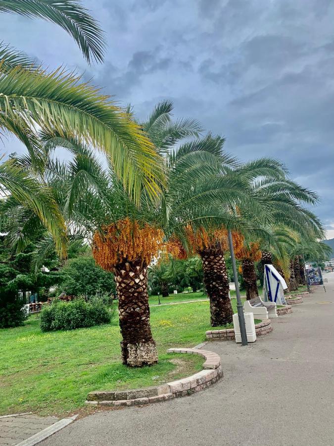 Apartman Ana Zeleni Pojas Bar Dış mekan fotoğraf