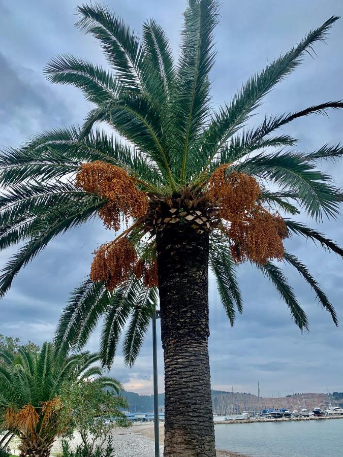 Apartman Ana Zeleni Pojas Bar Dış mekan fotoğraf